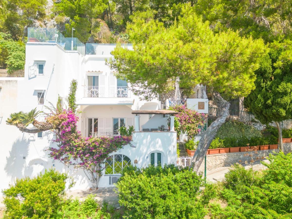 Faraglionensis Monaconehouse Villa カプリ エクステリア 写真